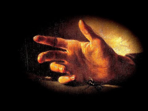 The Museum of Lost Souls