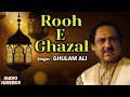 Ghulam Ali : Rooh E Ghazal | Main Nashe Mein Hoon | Superhit Romantic Ghazal |Best Ghazal Collection