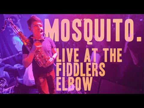Fraka - Mosquito (Live @ The Fiddler's Elbow, Camden)