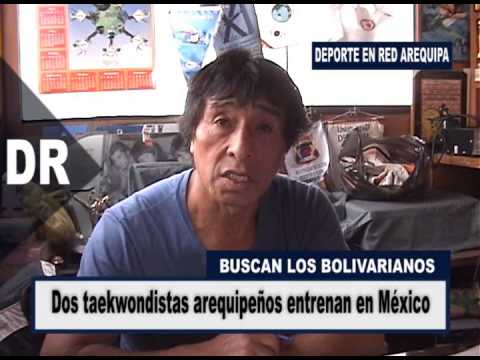 Taekwondistas arequipeños entrenan en México - Deporte en Red Arequipa