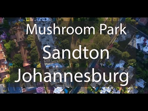 Mushroom Park  |  Sandton  |  Johannesburg by drone
