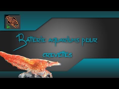 comment ouvrir un magasin d'aquariophilie