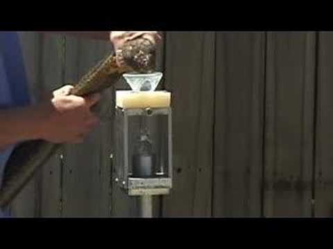 YouTube Video isX9n27MDOo