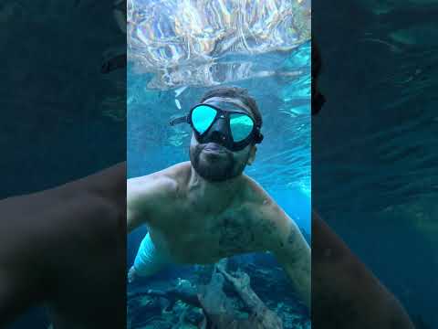 Vem ver como é o fundo da lagoa do Japonês no Tocantins.