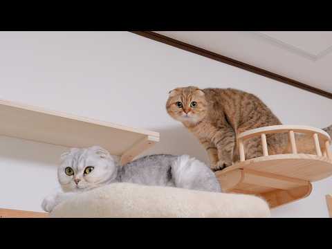YouTube 썸네일
