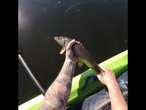 The Beauty Of World Fishing! Kayak Adventures Canada! #Shorts