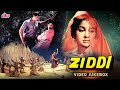 Ziddi ज़िद्दी 1964 Movie Video Jukebox Joy Mukherjee Asha Parekh Mehmood Mohd Rafi Lat