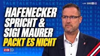 Hafenecker bringt Sigi Maurer zum Auszucken!