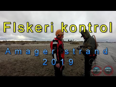 Fiskeri kontrol. Amager strand 2019