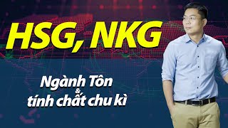 NHÓM CỔ PHIẾU THÉP HSG, NKG  – TÌNH HÌNH CÓ ĐÁNG LO ? | Phân tích cổ phiếu