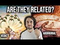 Are Vishnu's Dream & Aboriginal Dreamtime the same thing?