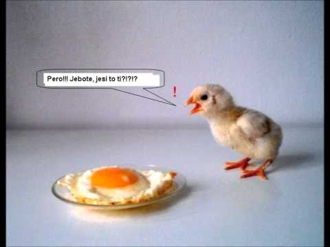 Zlatne Zice Slavonije-kada krenu moji svatovi.wmv