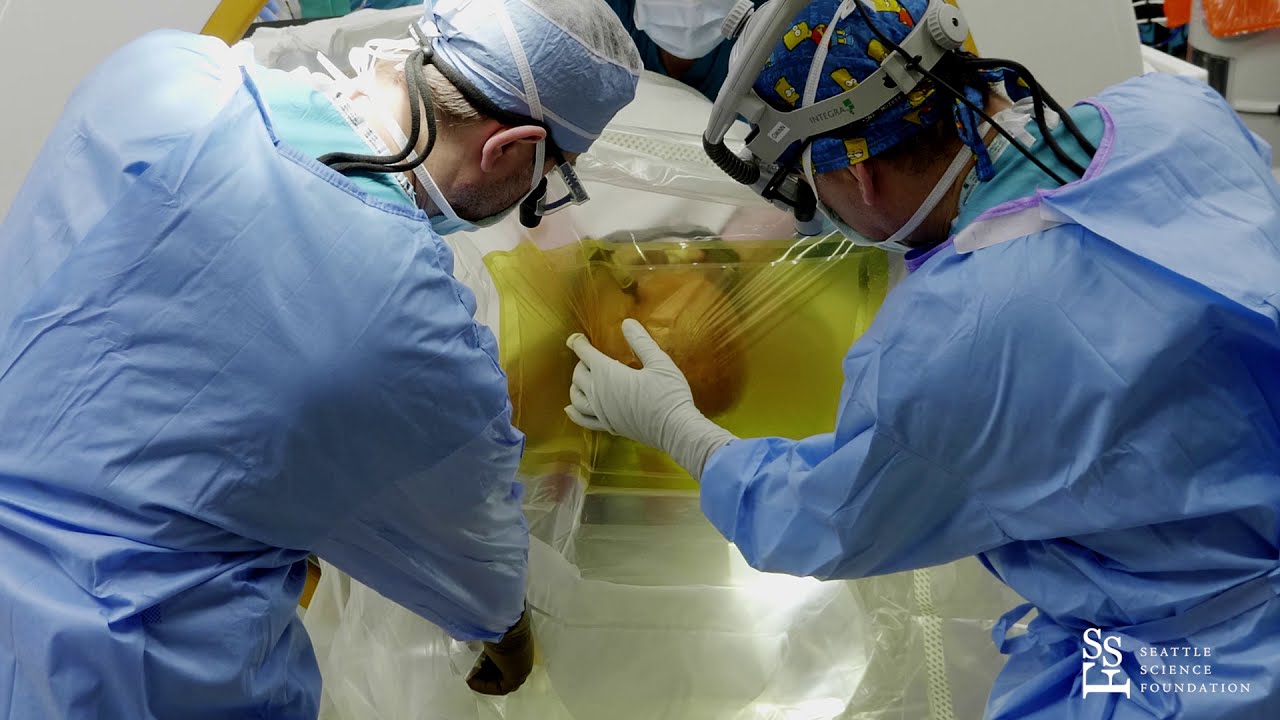 Live Surgery
