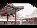 Snow in Beijing Brings Joy to Residents, Tourists