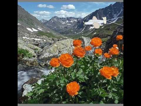 Одной тобою я дышу