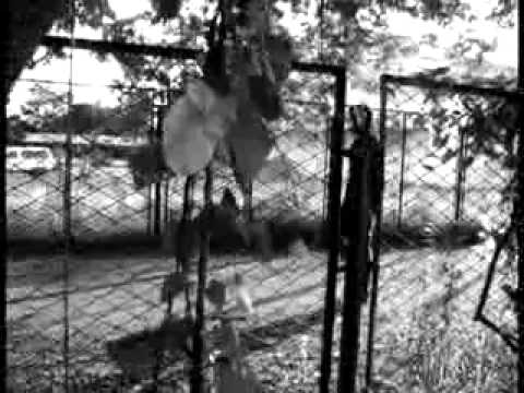 Imp Note psa and music video on road accidents.flv