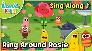 [Sing Along]  Ring Around Rosie - English - Larva KIDS  song