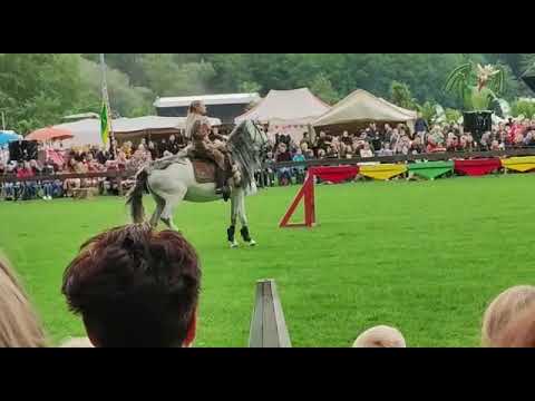 Ritter Turnier MPS Rastede 2022