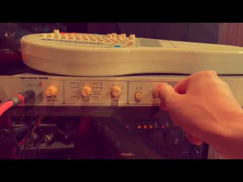 Guyatone HDR-1 Digital Reverb HIP Hyper Instrument Processor image 16
