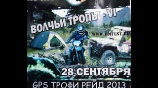 preview picture of video 'Волчьи тропы-6 Wolf's trail-6'