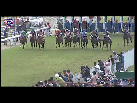 RM15 R7 | Iron Wolf | N.Juglall