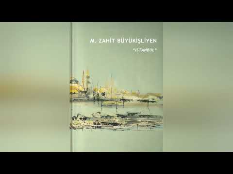 Zahit Büyükişliyen - İstanbul sergisi Video Kataloğu background
