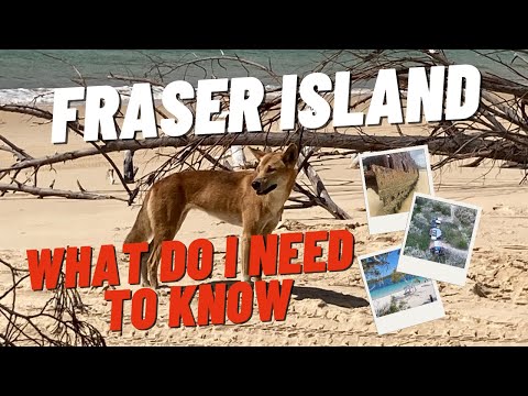 HOW TO EXPLORE FRASER ISLAND For Beginners | 10 Tips You Need To Know | DINGOES | 4X4 | CAMPING