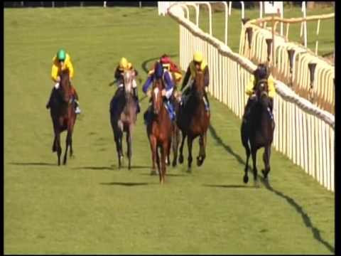 Hannover, Preis der Mercedes-Benz Niederlassung Hannover, 30.9.2012 - Siegerin: Akua'da