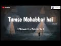 Tumse Mohabbat Hai Jalraj Slowed Reverb Version Lofi House
