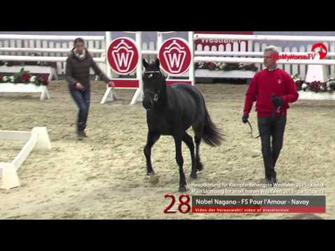 28 Nobel Nagano - FS Pour l'Amour - Navoy