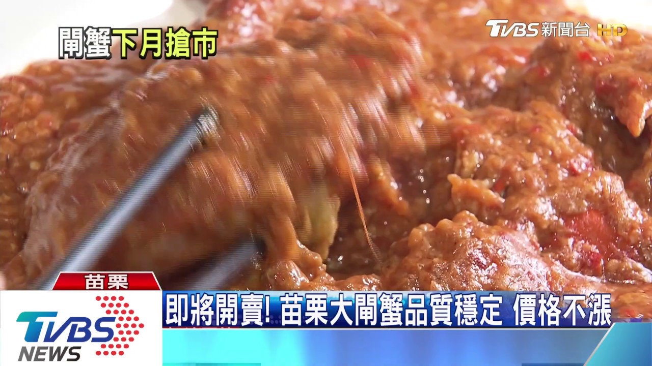 即將開賣!苗栗大閘蟹品質穩定 價格不漲
