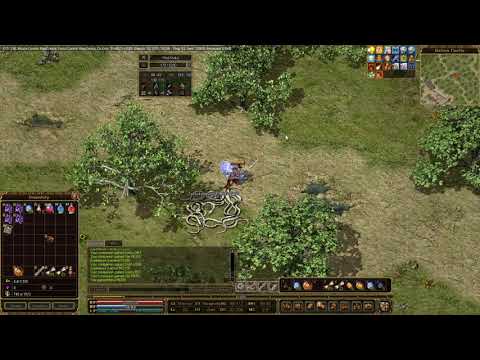 Kraken Mir3, Warrior Lv62, Legend of Mir3, August 18 2020