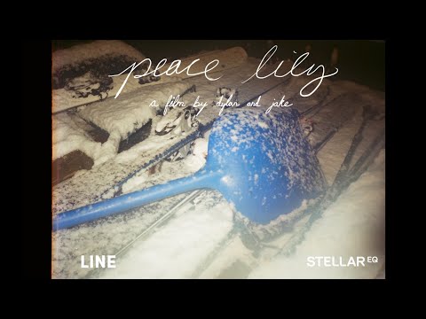 Peace Lily | A Film by Dylan and Jake