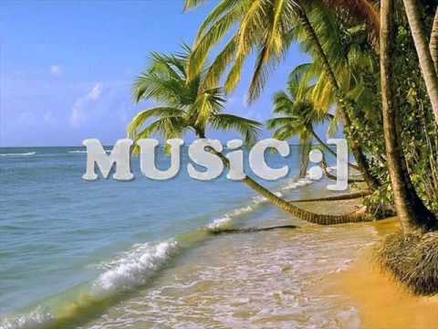 bacardi feeling   summer dreaming + lyrics