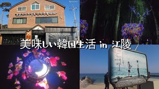 韓国カンヌン旅行（ドッケビロケ地巡り＆スンドゥブ＆最新ミュージアム）