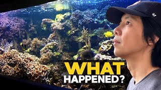 When Soft Corals take over!! (National Aquarium, Baltimore)