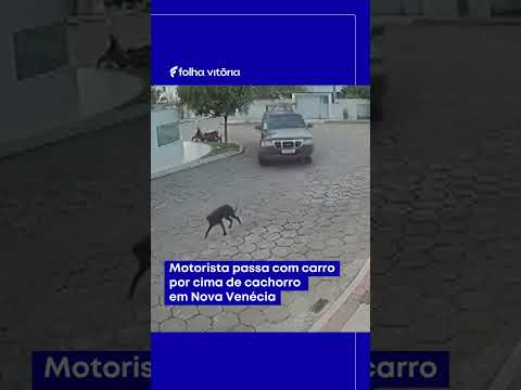 Motorista passa com carro por cima de cachorro em Nova Venécia