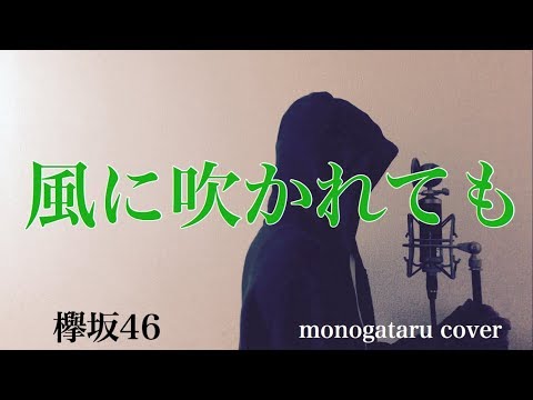 【フル歌詞付き】 風に吹かれても - 欅坂46 (monogataru cover) Video