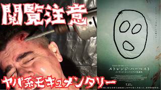 映画『ストレンジ・ハーベスト インランド・エンパイアの怪事件』エグいモキュメンタリー【ホラー映画 映画レビュー 考察 興行収入 興収 filmarks】