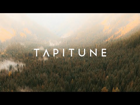 CRi, Half Moon Run - Astray (Circa & Singhara Remix)