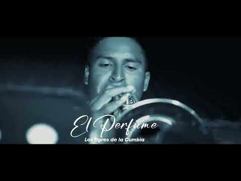 Los Tigres De La Cumbia - Tributo a José Zelada (En Vivo)