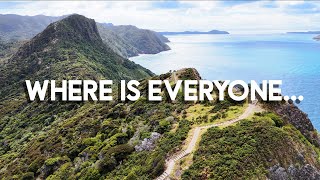 Top 2 MOST BEAUTIFUL HIKES in Auckland | New Zealand