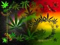 MAJEK FASHEK Hotel California Reggae Remix