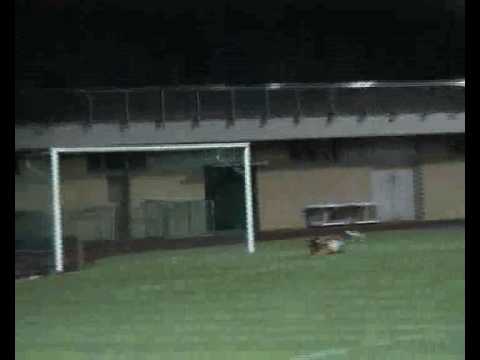 FC Savosa-Massagno - Losone Sportiva (allievi B) 15.09.2008