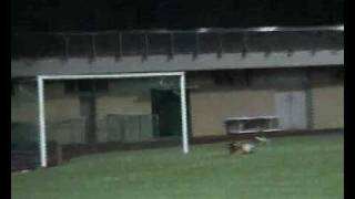 preview picture of video 'FC Savosa-Massagno - Losone Sportiva (allievi B) 15.09.2008'