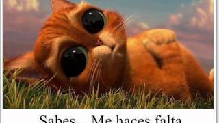 Parte de mi corazon  Sin Bandera feat Kumbia Kings