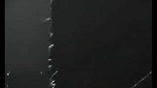 Stone Gods - Don't Drink The Water