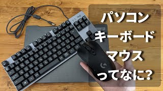 【パソコン初心者向け】パソコンの種類・マウス・キーボードついて【基礎知識】