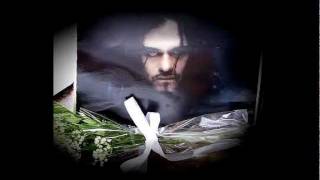 Midnight (Crimson Glory) Through Glass