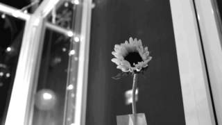 Dream On Music Video